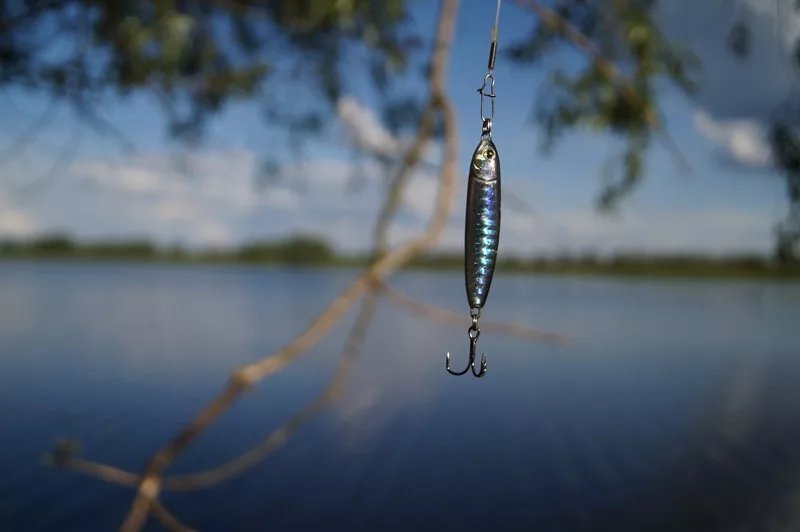 Луфарь самодур. Снасти для морской рыбалки на треску. Ловля на пилькеры с берега. Ловля саргана в черном море. Оснастка пилькера на саргана.