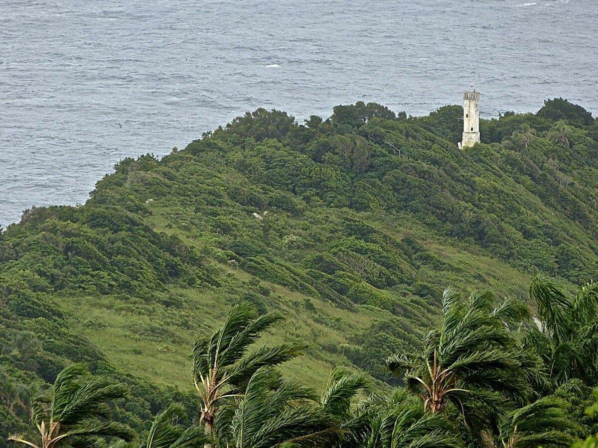 Island full. Остров Кеймада-Гранди Бразилия. Остров змей Кеймада-Гранди. Маяк на острове Кеймада-Гранди Бразилия. Змеиный остров Кеймада-Гранди Бразилия.