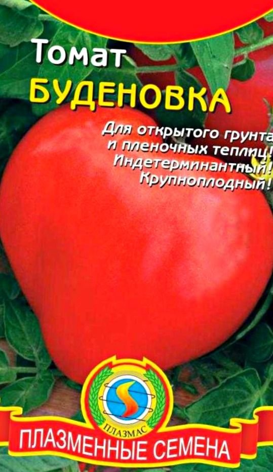 Чем обработать помидоры от мучнистой росы в теплице