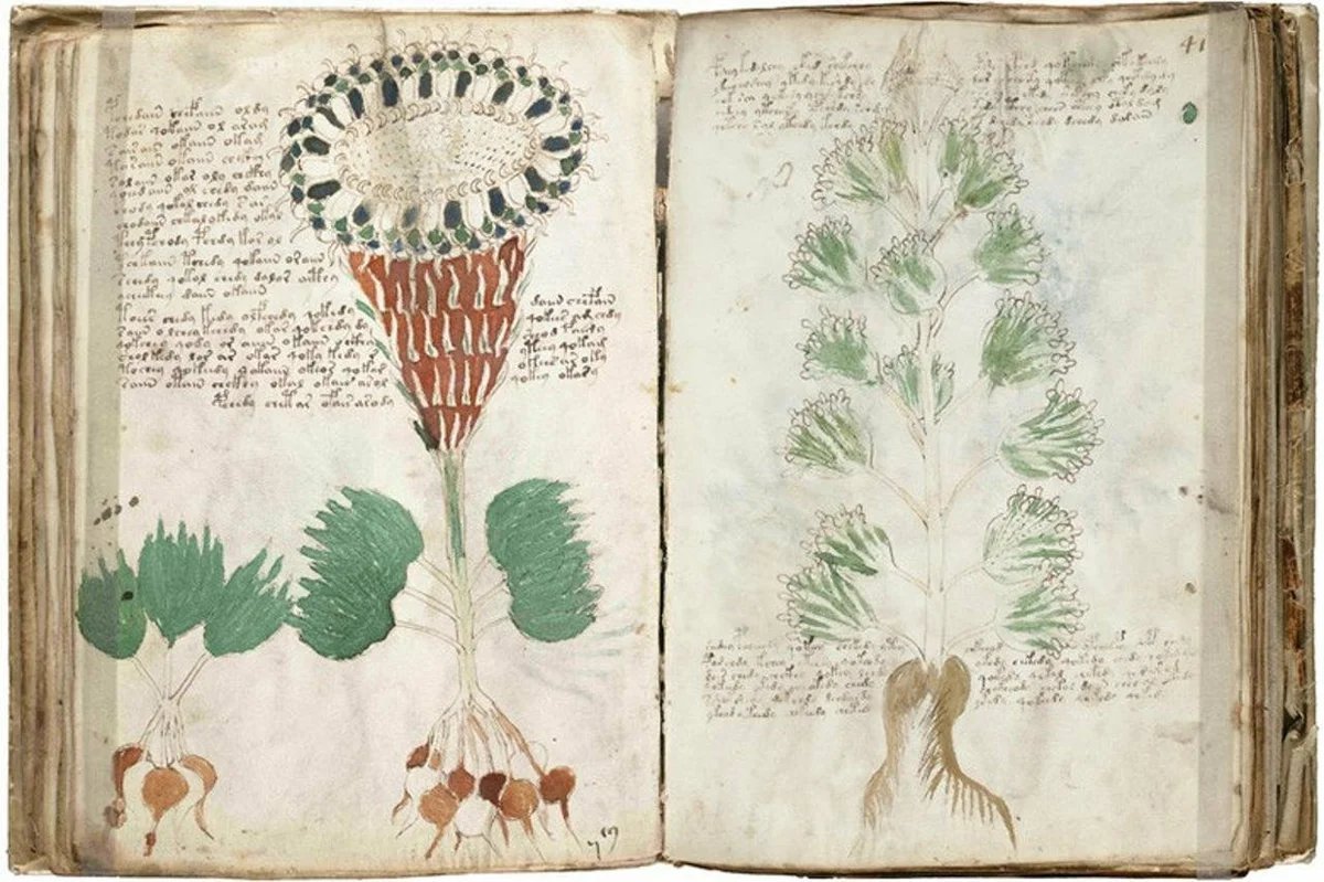 библиотека была небольшая дальше он спрятал рукопись. пергаментные рукописи древняя греция. древнюю рукопись манускрипт. библиотека была небольшая дальше он спрятал рукопись. красивая старая книга.