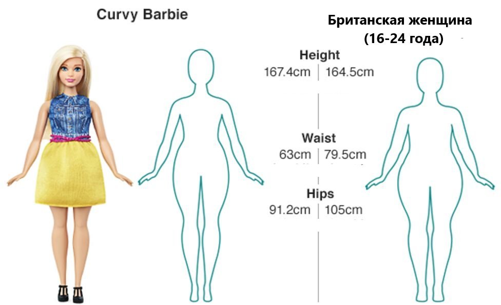 Мерки куклы барби. Размер ноги барби. Параметры барби. Размер куклы барби в см рост. Мерки барби.