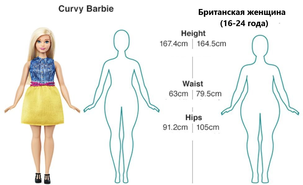 Проект является ли барби стандартом женской привлекательности