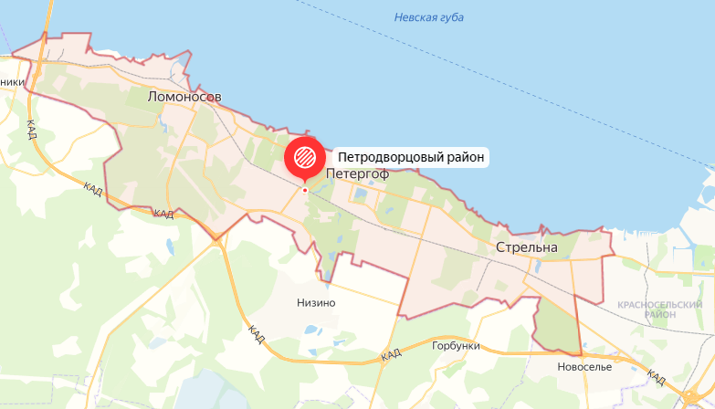 Петродворцовый район санкт петербурга