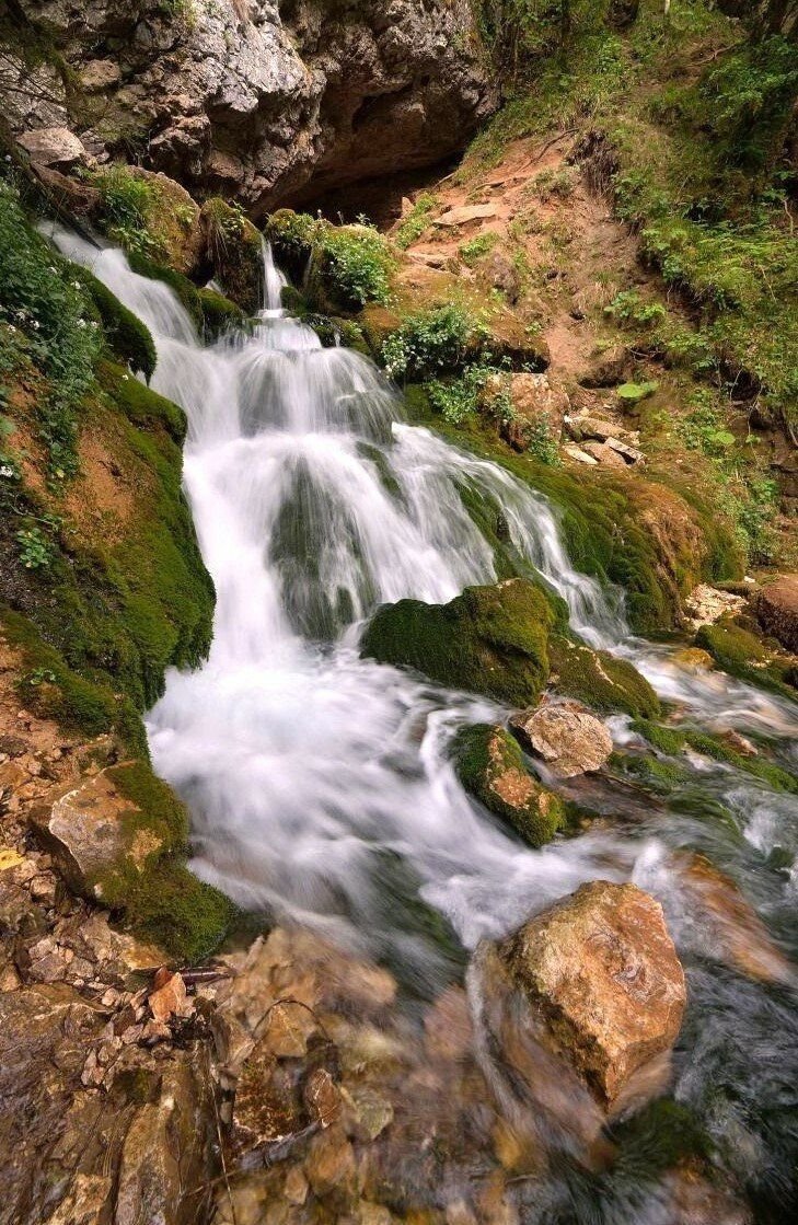 Водопад пальмовый в мезмае фото