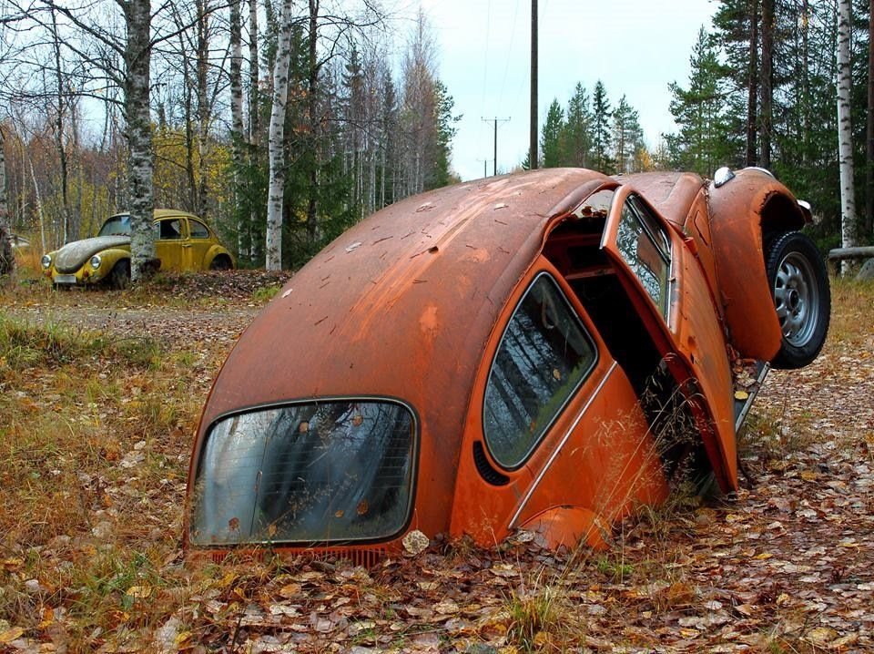 Найденные авто видео. Заброшенные авто. Брошенные машины в лесу. Заброшенные авто в лесу. Заброшенные автомобили в лесу Россия.