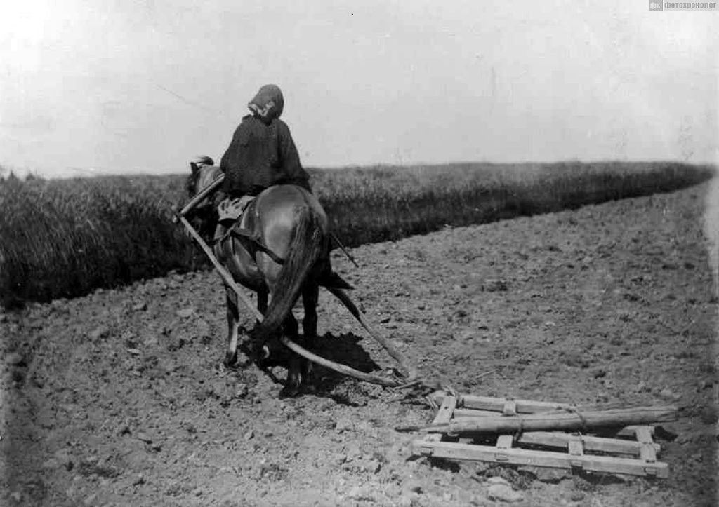 Можно ли рвать старые фотографии