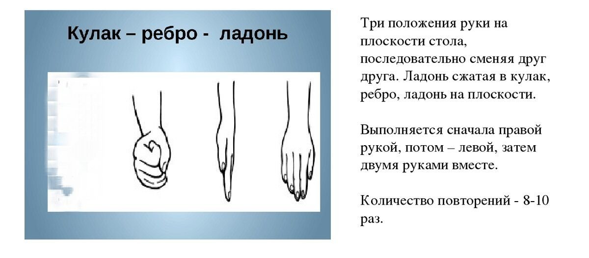 Схема кулак ребро ладонь