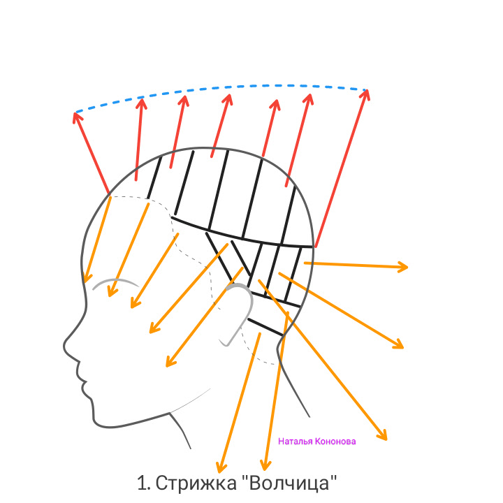 Схема стрижки маллет на средние волосы