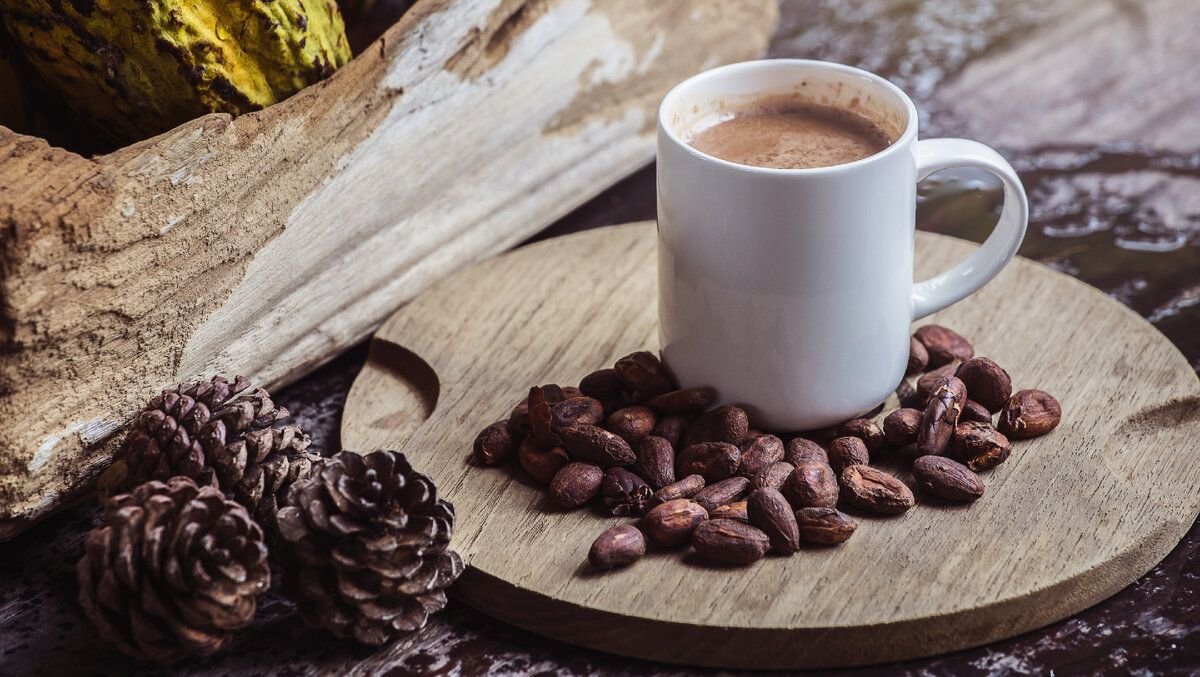 польза какао. чашка с горячим шоколадом. какао человек. чем полезен какао для организма. чем полезен какао порошок для организма.