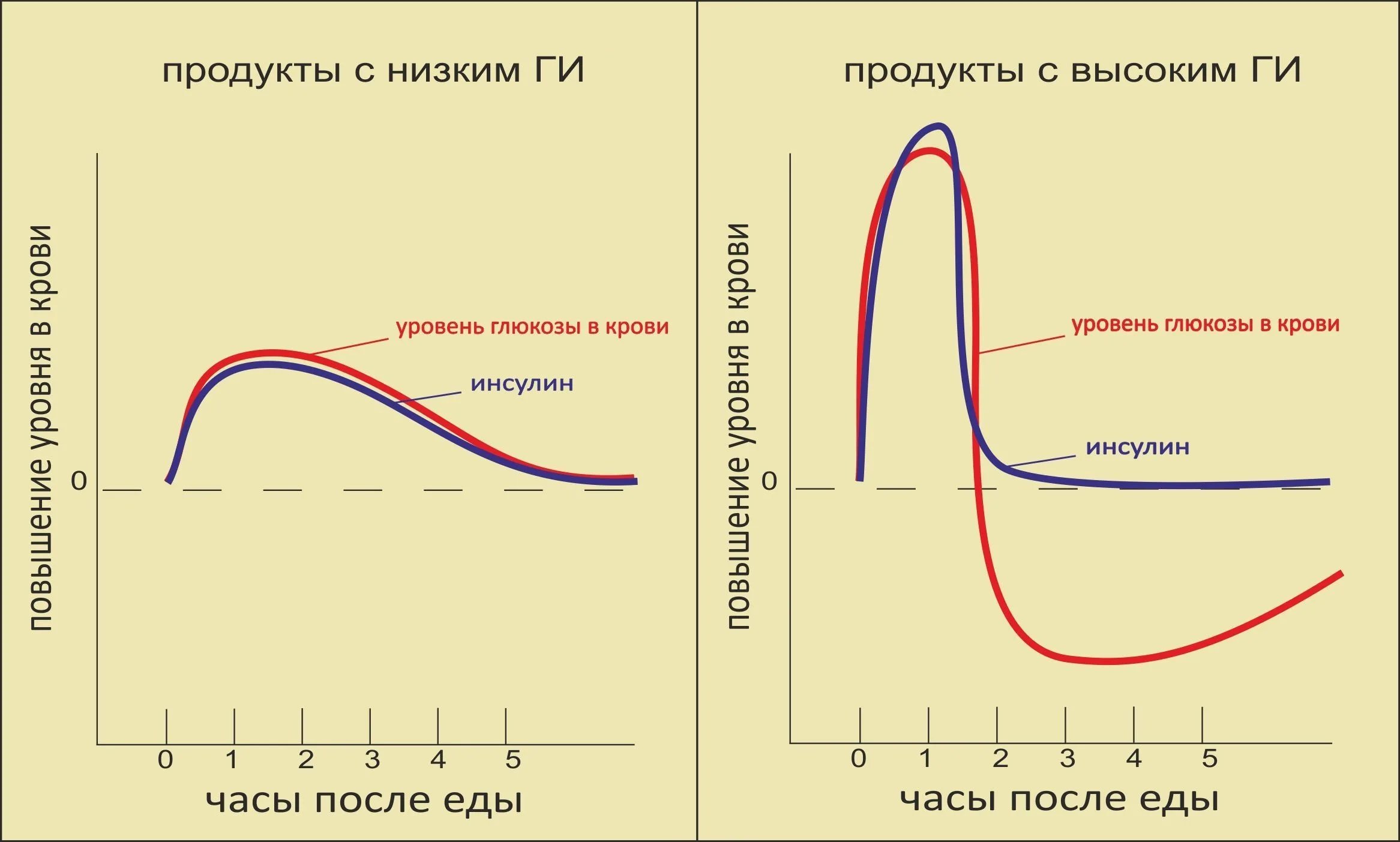 На сколько увеличивается время. График уровень Глюкозы инсулина. График уровень Глюкозы в крови после еды. Глюкоза и инсулин график. Диаграмма сахара в крови здорового человека.