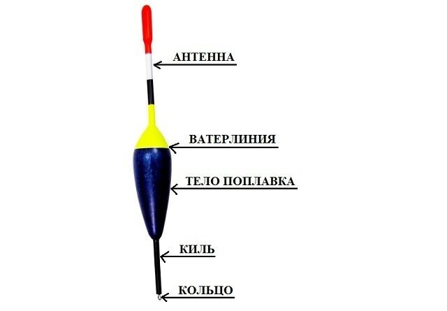 Какие бывают поплавки для удочки картинки и описание