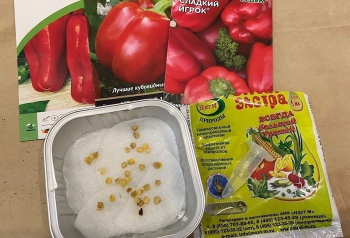 Можно сеять перец на рассаду в марте. Перец на рассаду 8. Посадка перца на рассаду в феврале. Сеять семена перца в феврале. Семена перца и баклажанов.