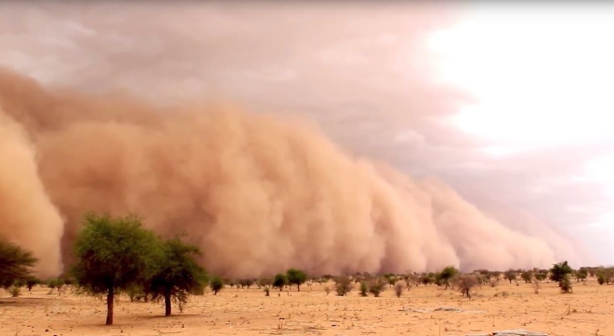 Самые сильные ветры на планете. Самум Песчаная буря. Пустыня сахара пыльная буря. Песчаная буря в пустыне сахара. Пустыня Гоби Песчаная буря.