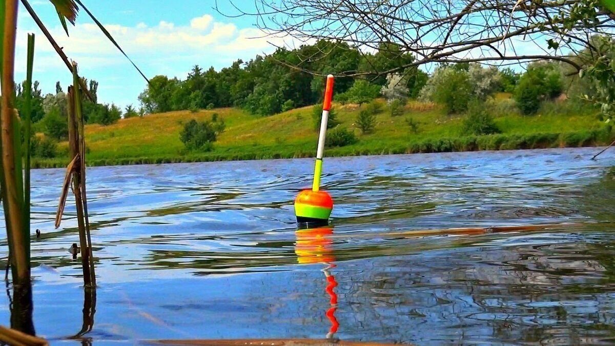 Поплавок в воде картинка