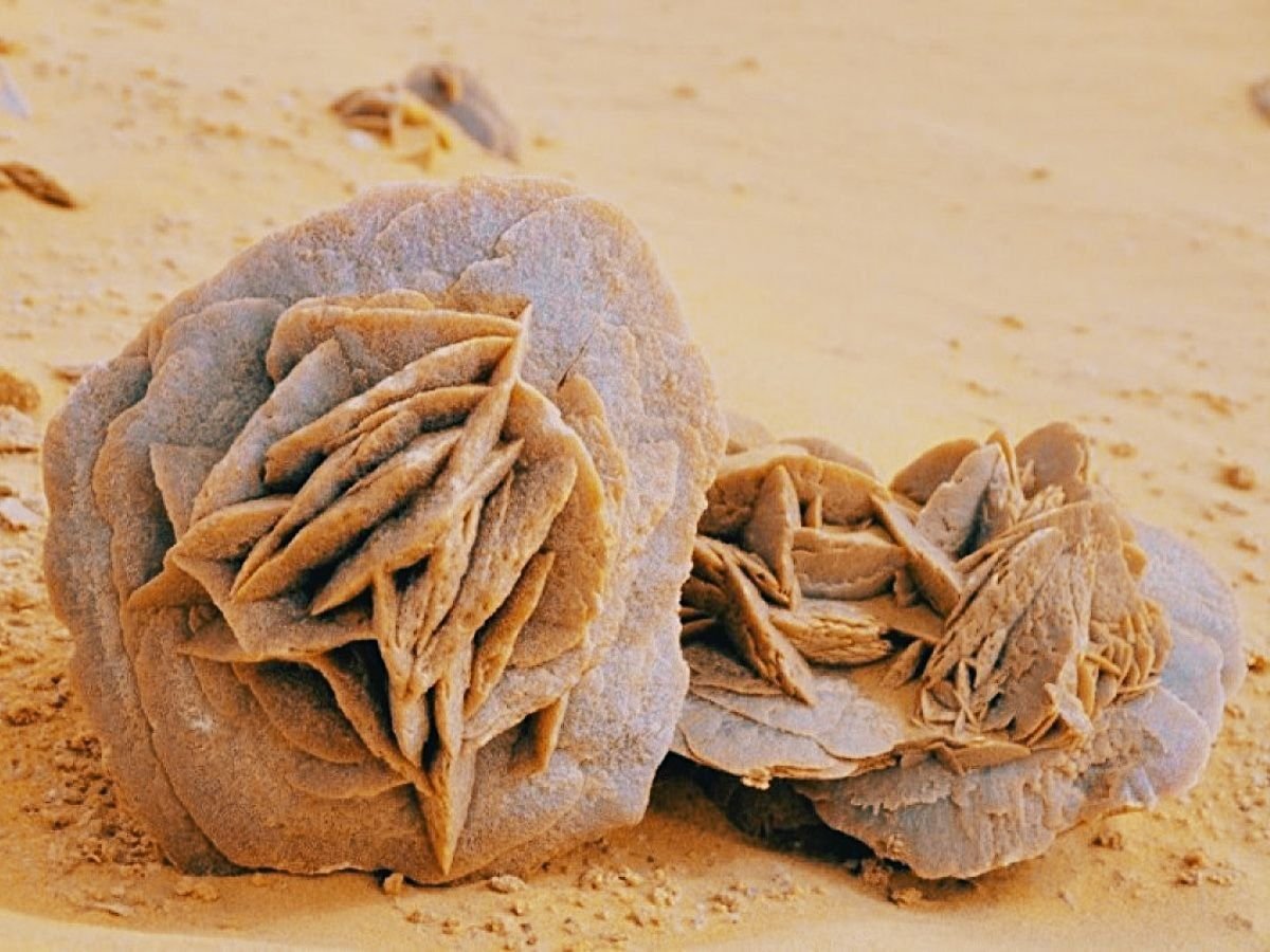 Роза пустыни камень Тунис