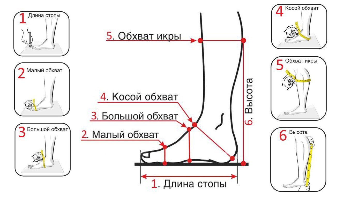 Как измерить длину ног у женщин схема