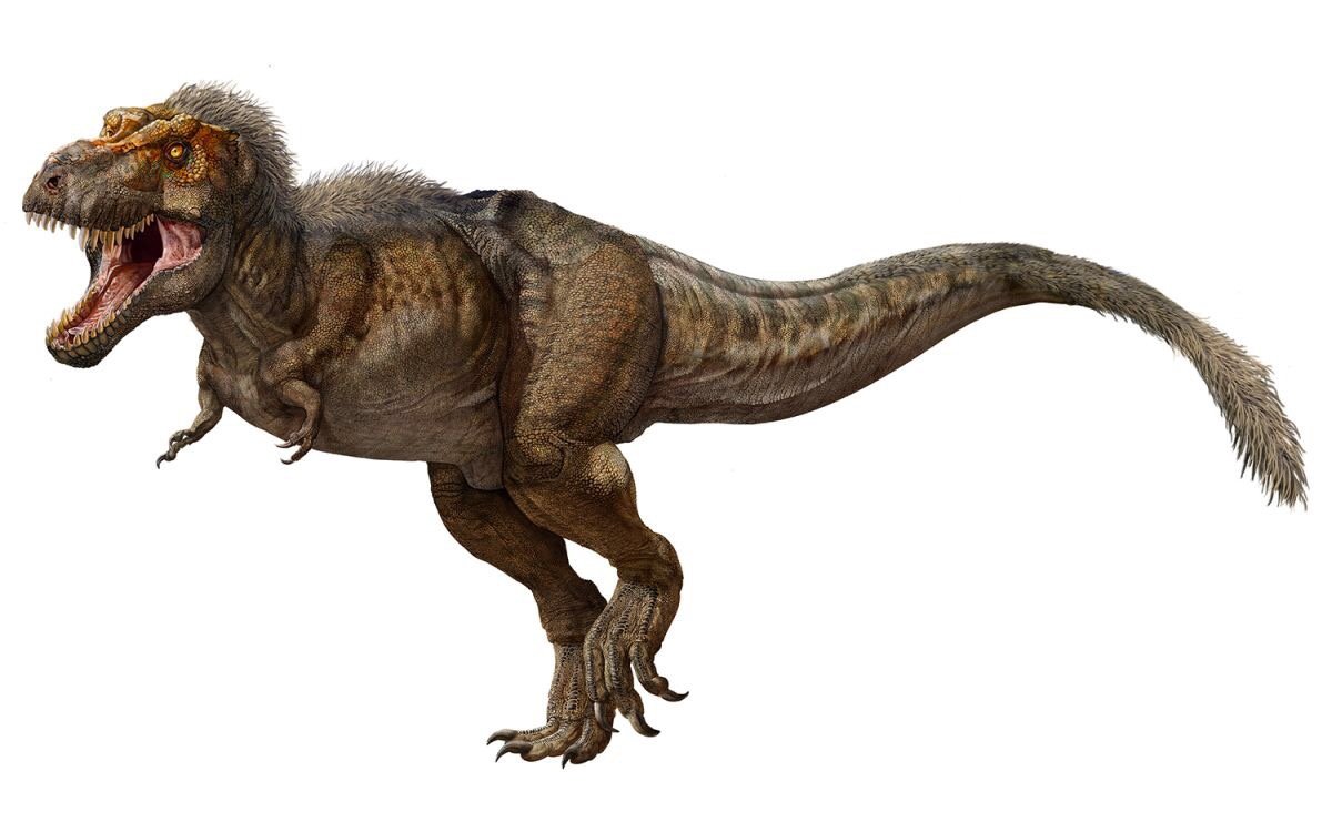 Тираннозавр рекс 2021