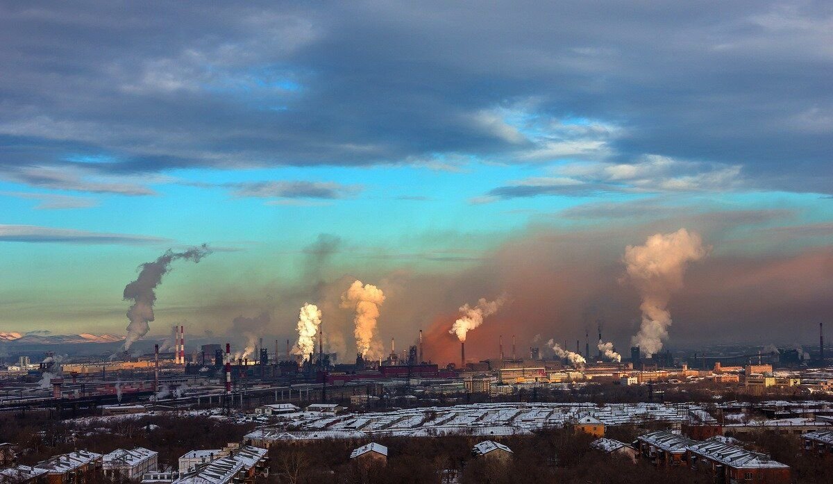 Загрязнение города проект