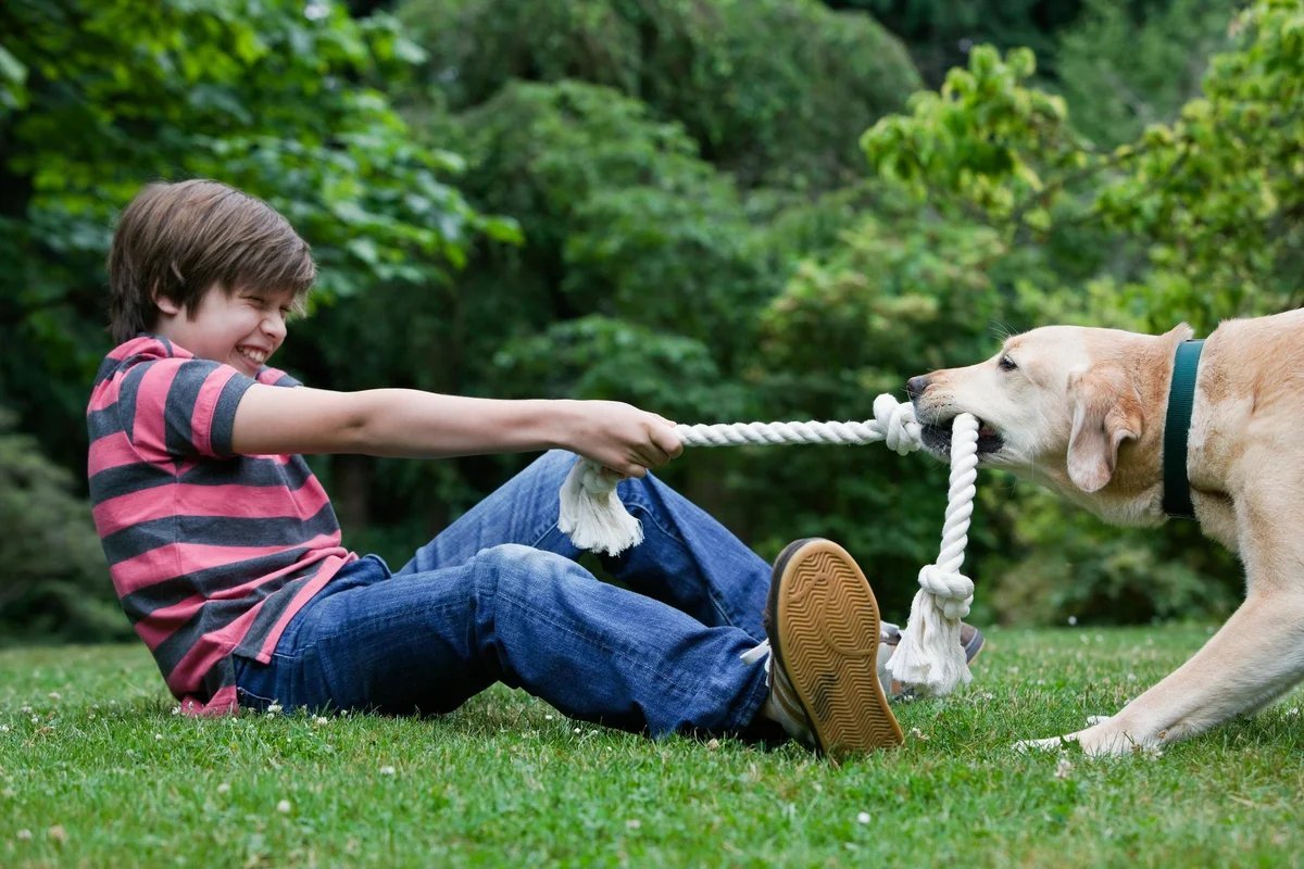 Дети играющие с собакой