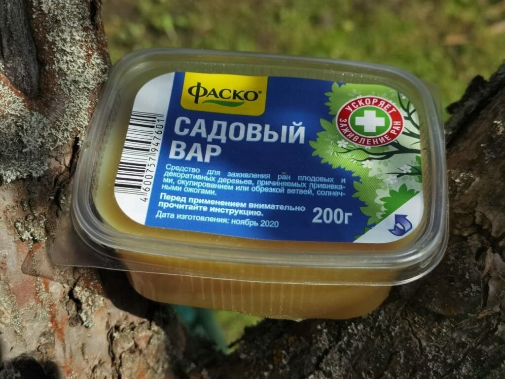 Как пользоваться садовым. Садовый вар для деревьев. Садовый вар для заживления РАН. Вар садовый Фаско. Садовый вар для деревьев пластичный.