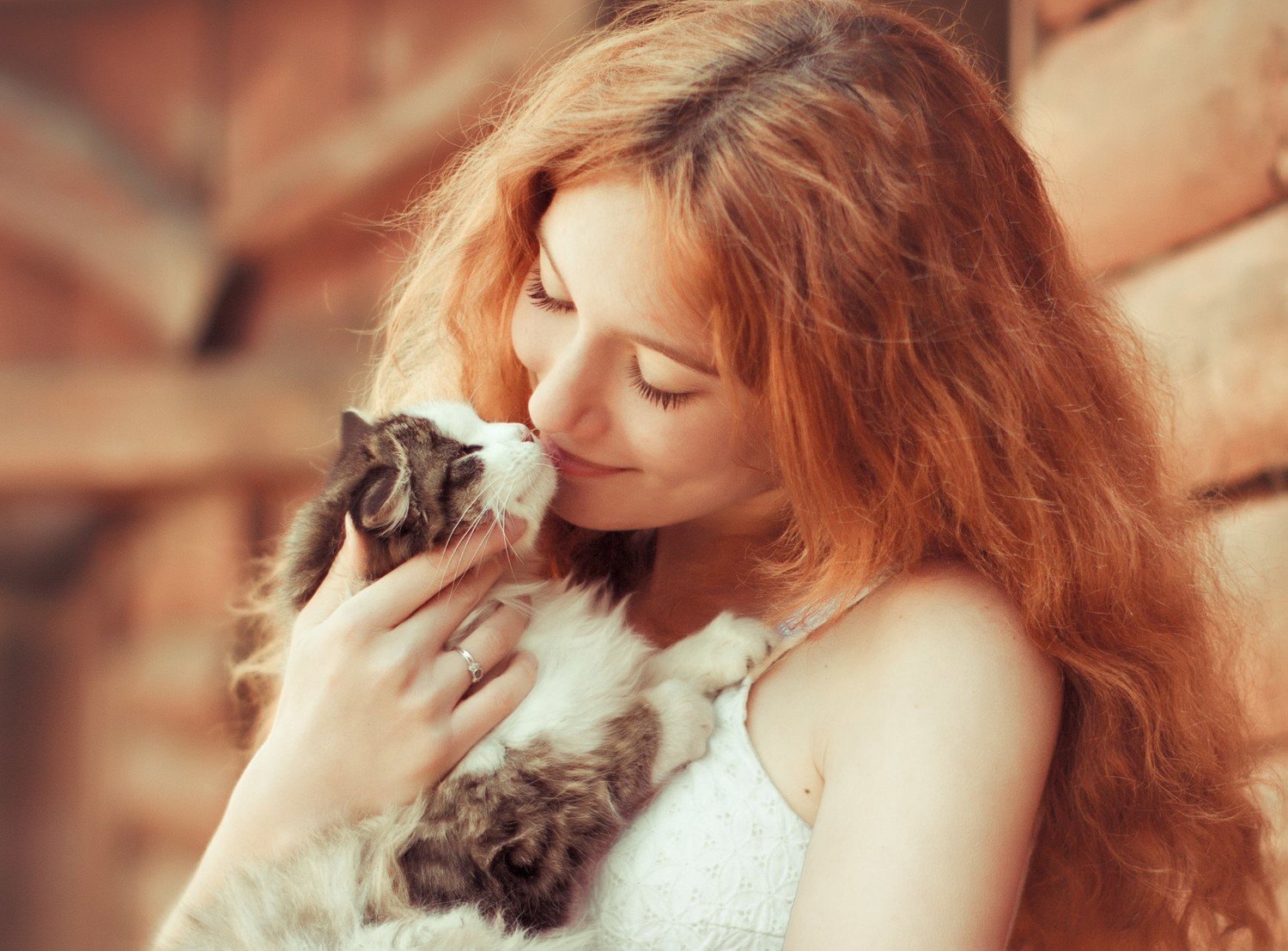 Картинка девушка с кошкой. Девушка с котом. Девушка с котенком. Женщина с котенком. Девушка доброта.