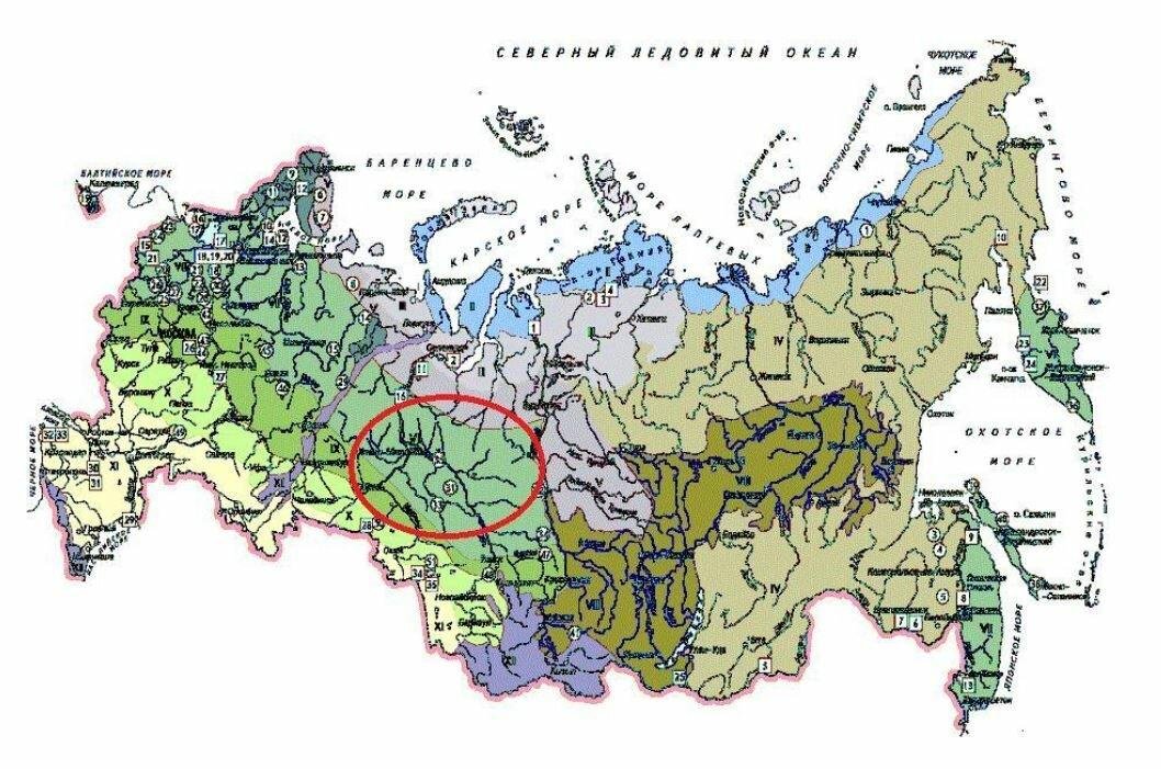 Найдите площадь км2 болота отмеченного на плане ответ