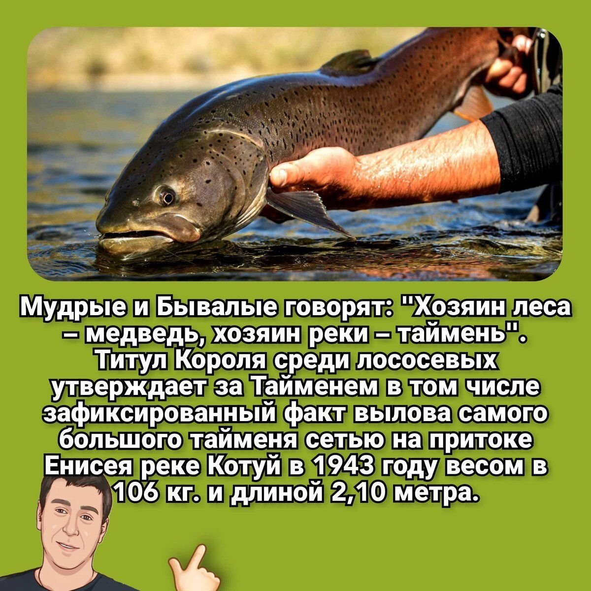 рыбы сибирских рек