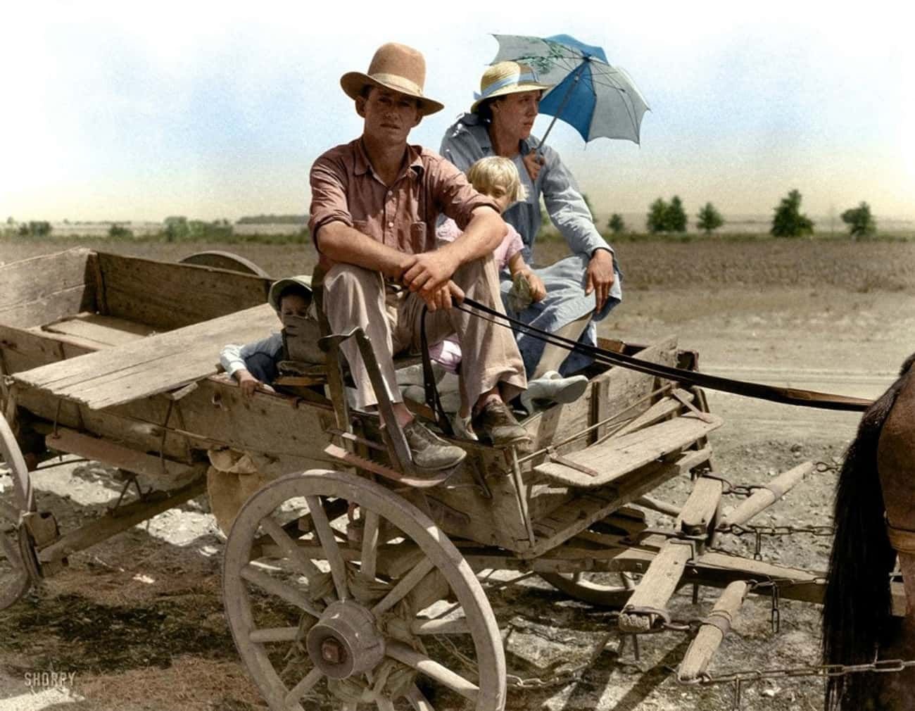 Исторические кадры. Исторические цветные фотографии. Фермер это в истории. Старые фотографии в цвете.