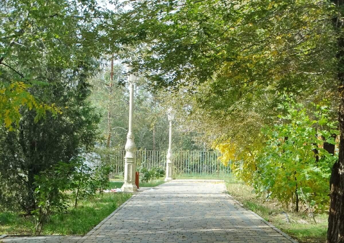 Парк дружба волгоград