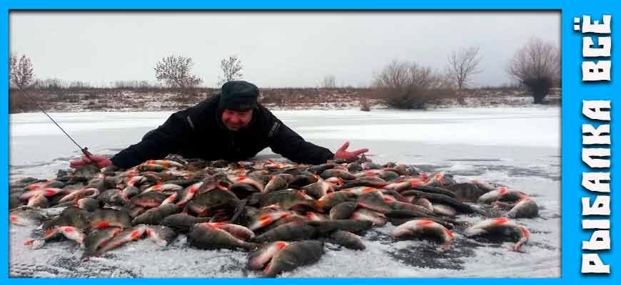 Другое дело рыбы на обеденном столе