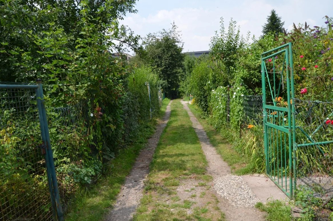 Дача оне. Дачные поселки в Германии. Дачные участки обычных немцев. Немецкие дачные поселки. Как выглядят дачные посёлки в Германии.