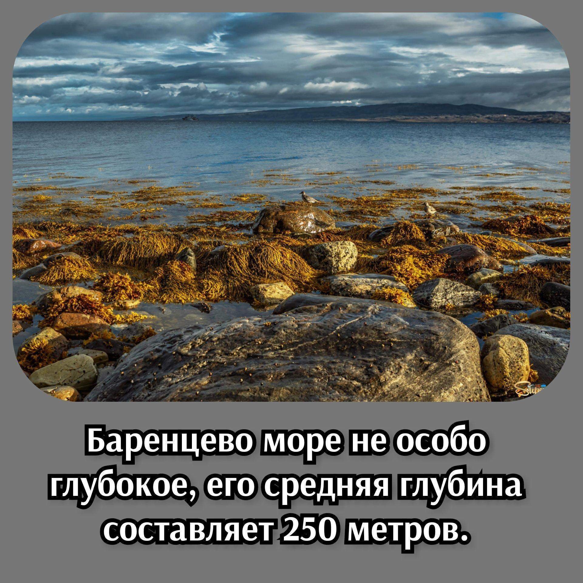 Баренцево море какой океан. Кольский полуостров Баренцево море Териберка. Мурманск берег Баренцева моря. Побережье Кольского полуострова в Баренцевом море. Мурманск побережье Баренцева моря.