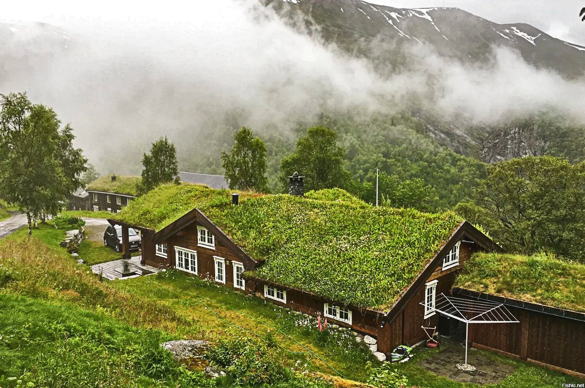 Неведомый дом. Зеленая кровля Норвегия. Травяные крыши в Норвегии. Зеленая кровля Скандинавия. Кровля в Норвегии с травой.