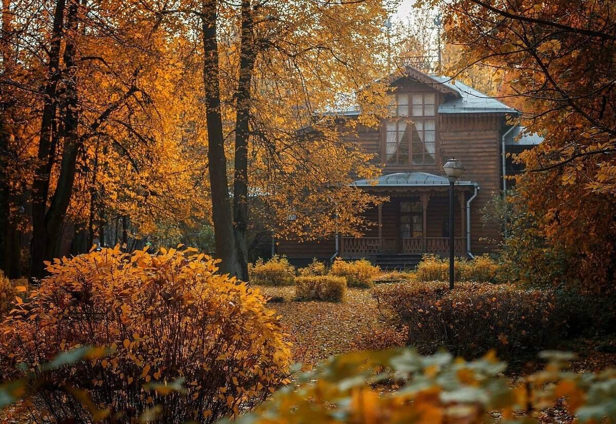 усадьба и лес. усадьба лесной берег москва поселок новобутаково 44. сказочные избы усадьбы абрамцево. развалины храма плющ эстетика. особняк усадьба сосновый бор.
