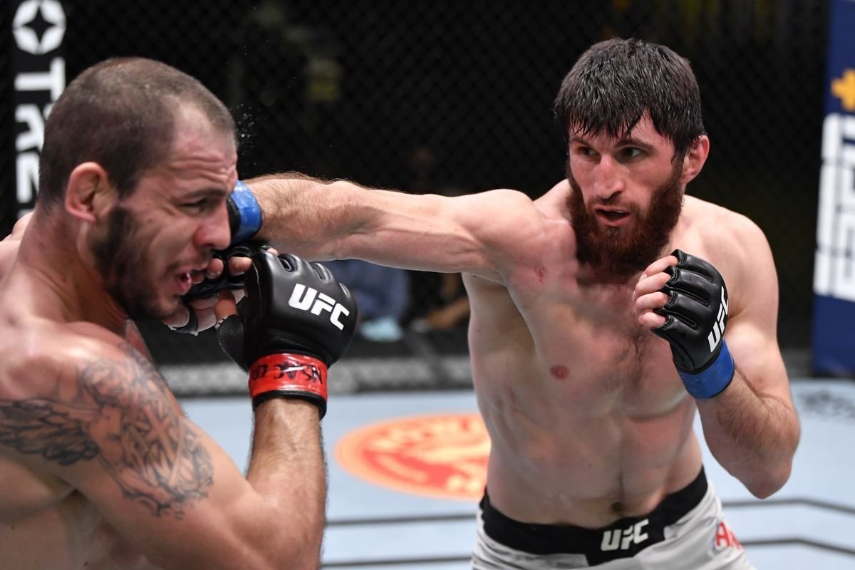 Магомед Анкалаев боец UFC