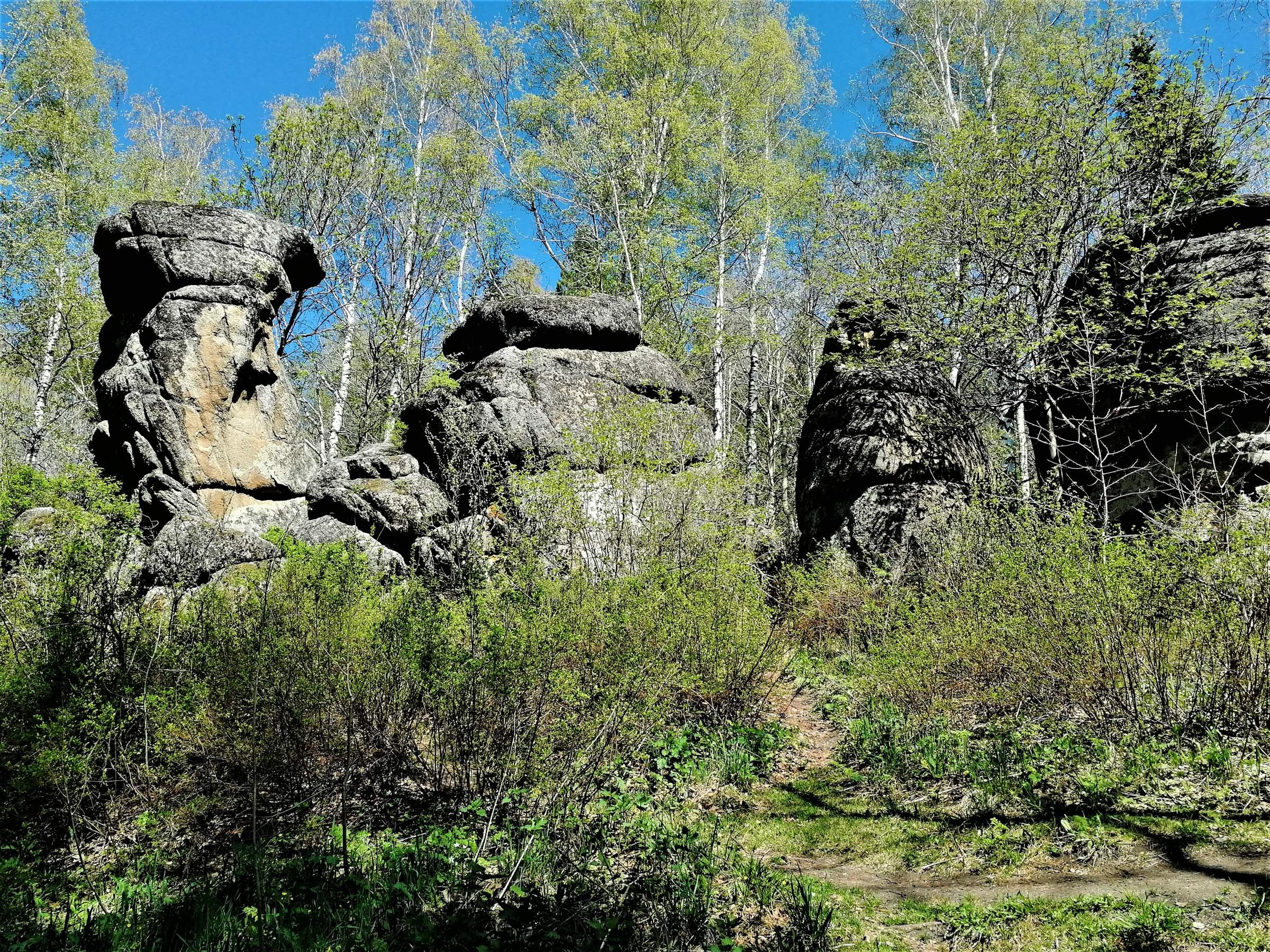 белокуриха гора церковка