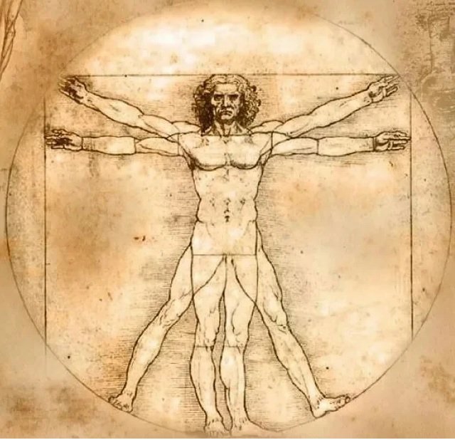 Картина да винчи человек. Да Винчи Vitruvian man. Леонардо да Винчи. «Витрувианский человек», 1490 г.. Леонардо да Винчи человек в круге. Идеальный человек Леонардо Давинчи.