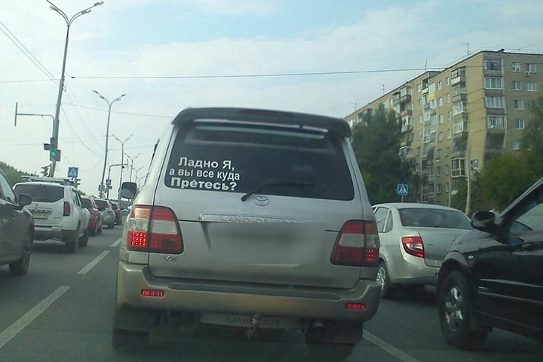 Тарапица нинада картинки