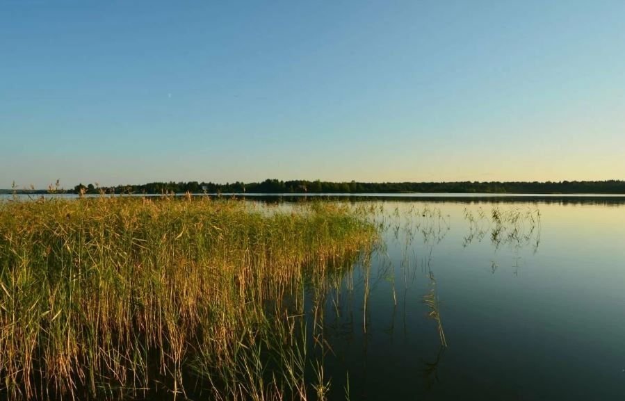 Мальчики отыскали сухое место расселись на берегу и раскинули удочки схема