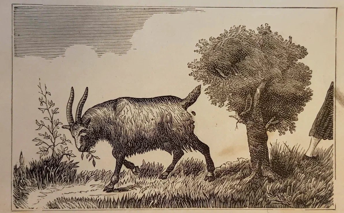 В музеях вы наверное видели старинные рисунки