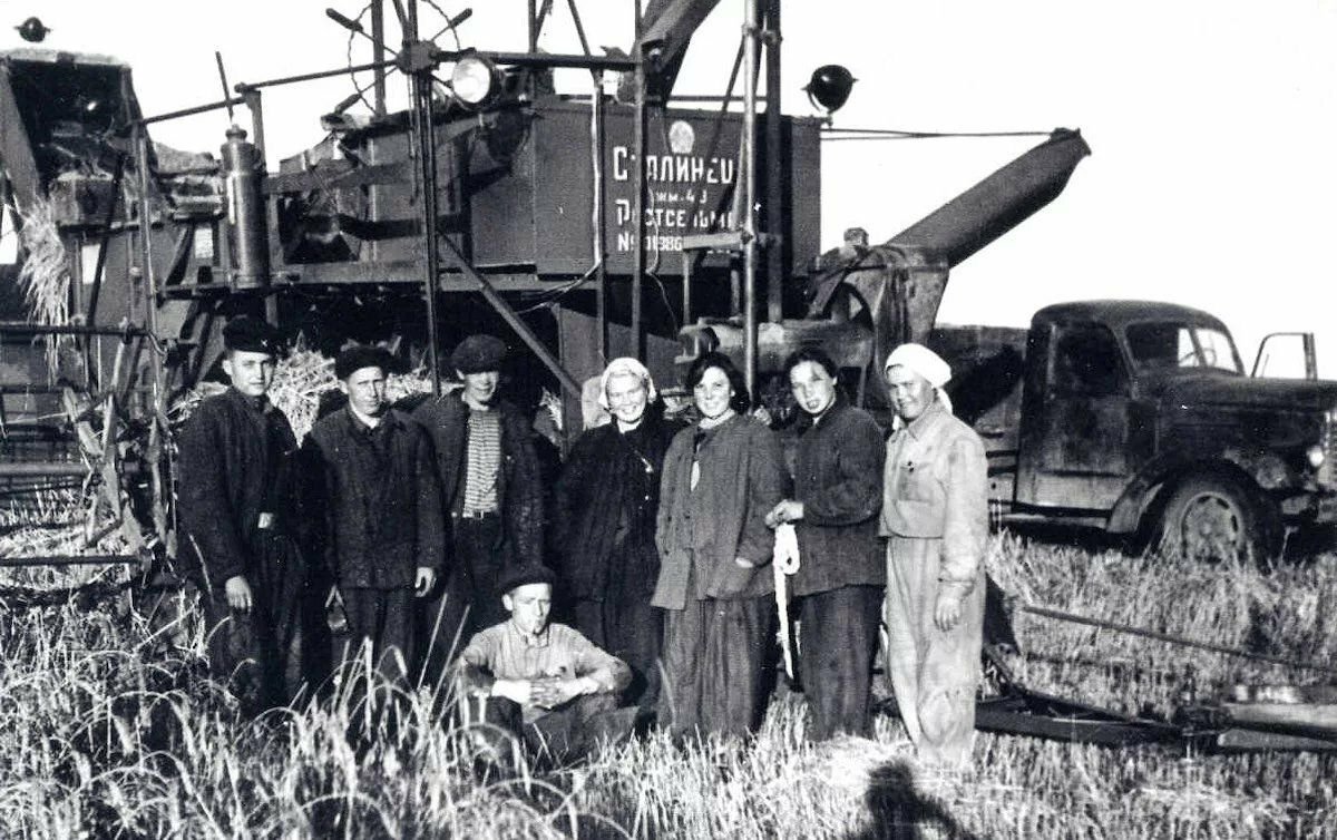 Целинные земли. Целина на Алтае 1954. Целинники на Алтае 1954. Целина 1956. 1954 Освоение целины.