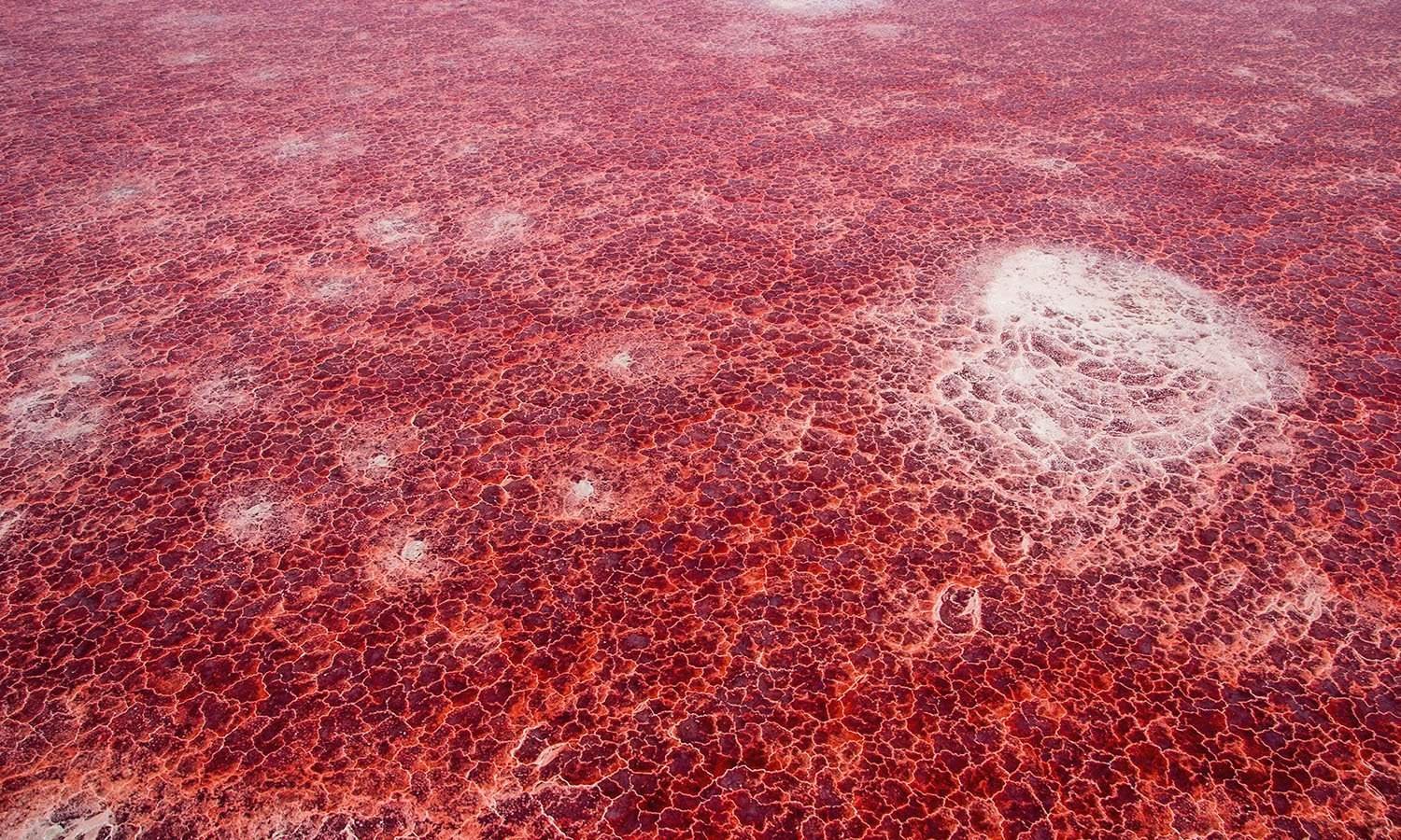 Натрон. Озеро Натрон. Натрон Танзания. Озеро Натрон (Lake Natron), Танзания. Красное озеро в Танзании.