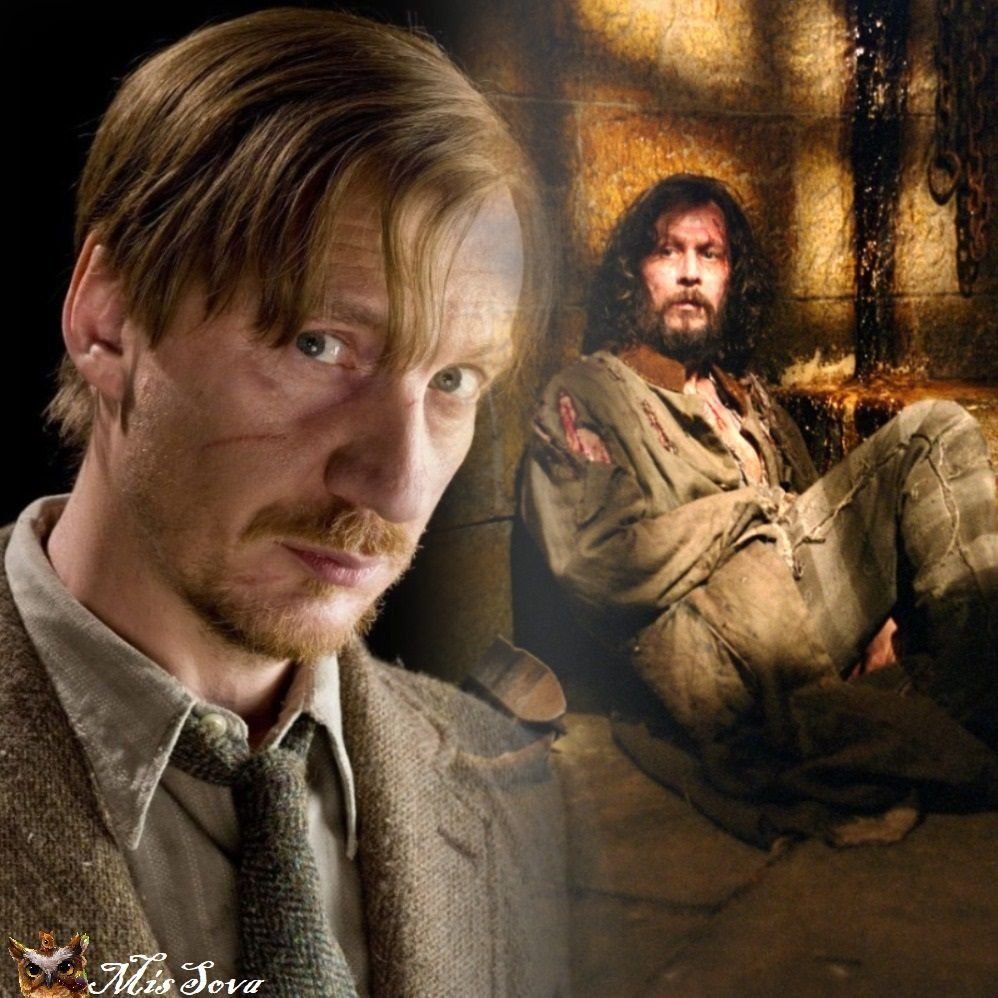 друг сириуса. профессор люпин и сириус блэк. друг сириуса. сириус блэк и римус люпин. сириус блэк и римус люпин.