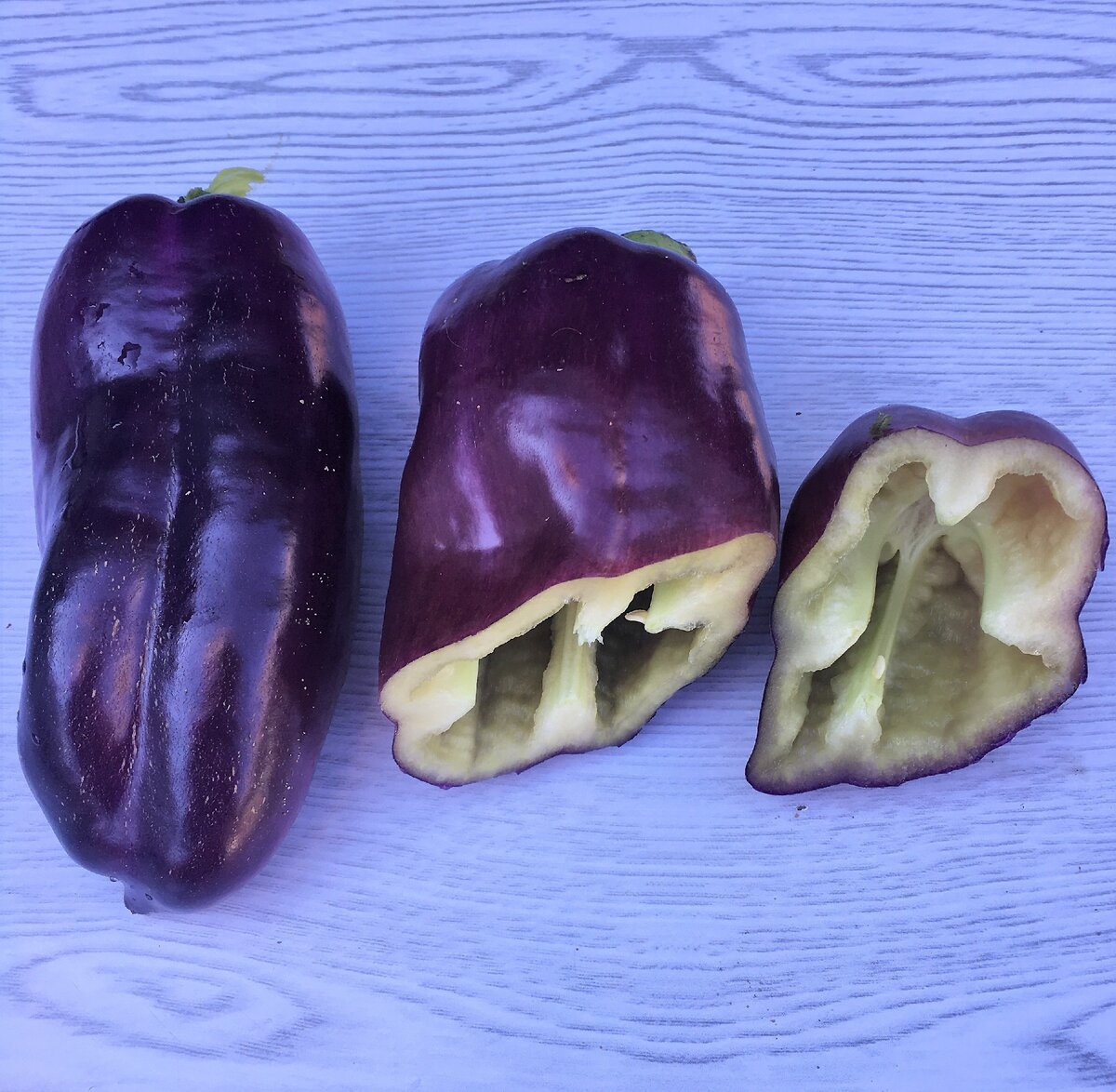 помидоры,перец и баклажаны. сорта перцев баклажан. буйское удобрение томаты перец баклажаны. сорта перцев баклажан. баклажан, болгарский перец, помидор.