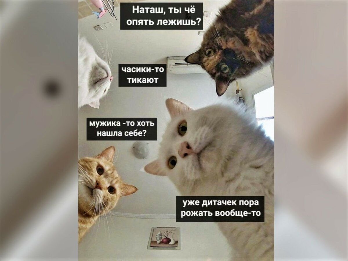 Наташа мы опять все уронили