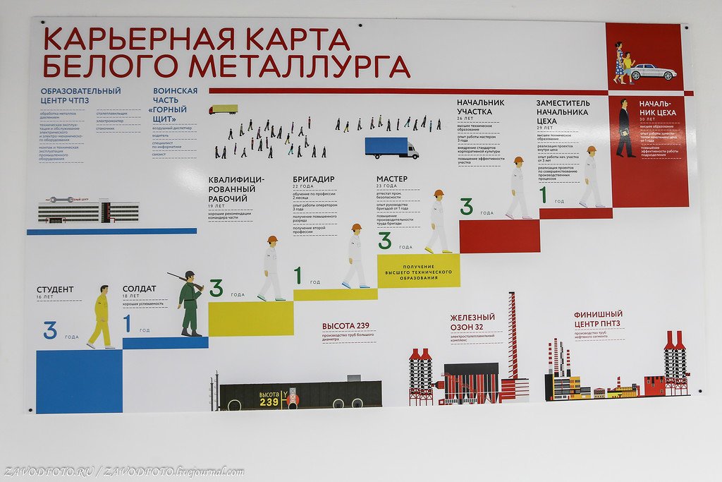 Карта карьерного роста