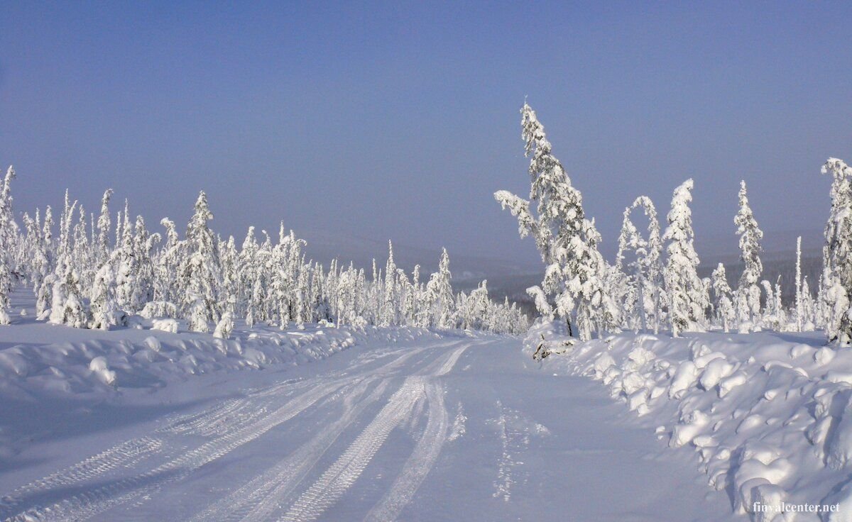 Зима в Якутии фото природы
