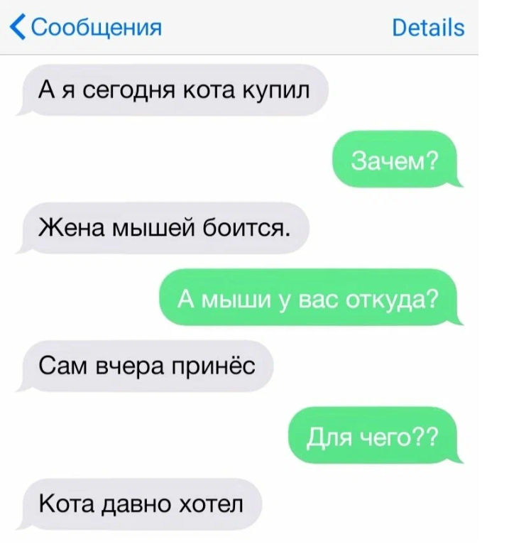 Образцы веселых и поднимающих дух сообщений