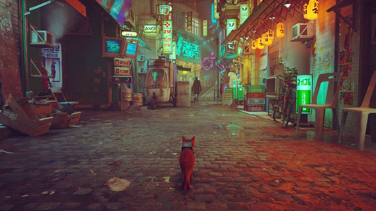 Игра глазами кота. Симулятор кота и кошки. Stray игра робот в канализации. Stray игра. Игра глазами кота.