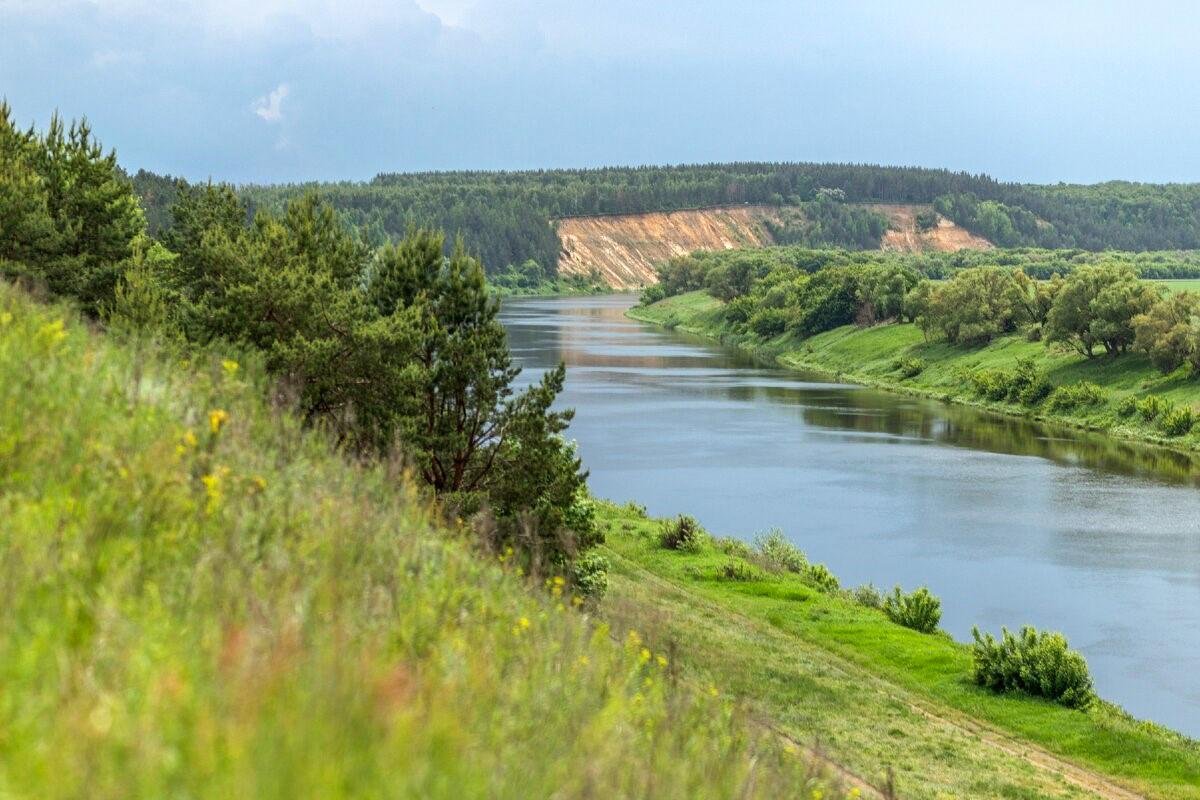 Лысая гора Кривоборье